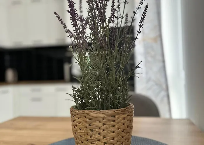 Premium - Lavender - Self Check-in - Parking Lägenhet *