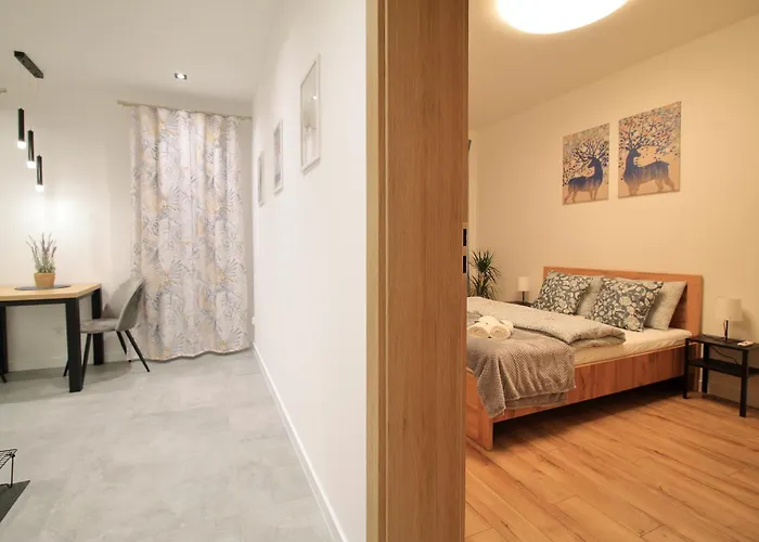 Premium - Lavender - Self Check-in - Parking * Rzeszów